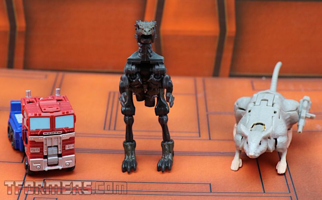 Transformers Kingdom Optimus Prime Core Wave 1 InHand Images Gallery